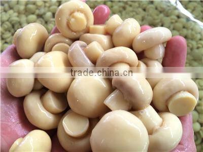 brine meter light yellow mushroom slices brine champignon mushroom high quality champignon mushrooms brine salted boiled in bag