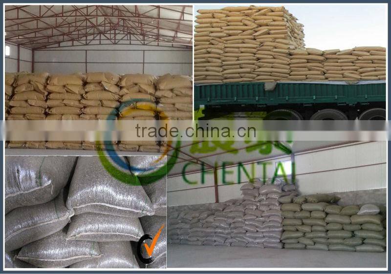 Promotion :Round Type Sunflower Seed Top Quality 1121,909 low price