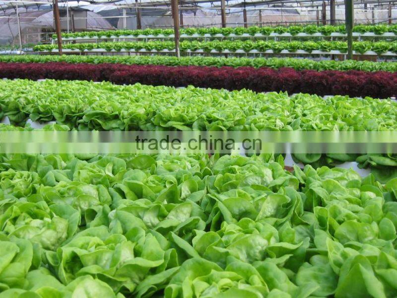 50L Lightweight Hydroponic Expanded Clay Aggregate Media Supplier