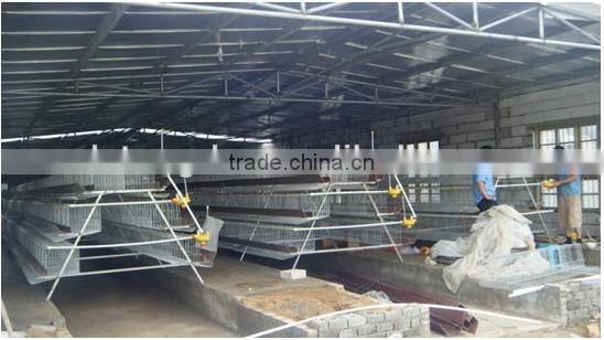 farm chicken egg incubation equipment as cage