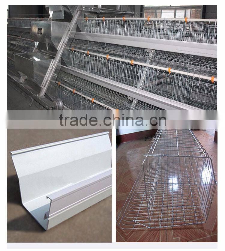 30 Years' factory supply automatic chicken broiler cages
