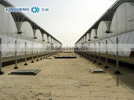 Multi Span Poly Plastic Film Arch Greenhouse