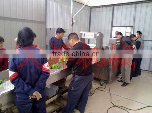 Guangxi Y. L. Vegetable Processing Factory
