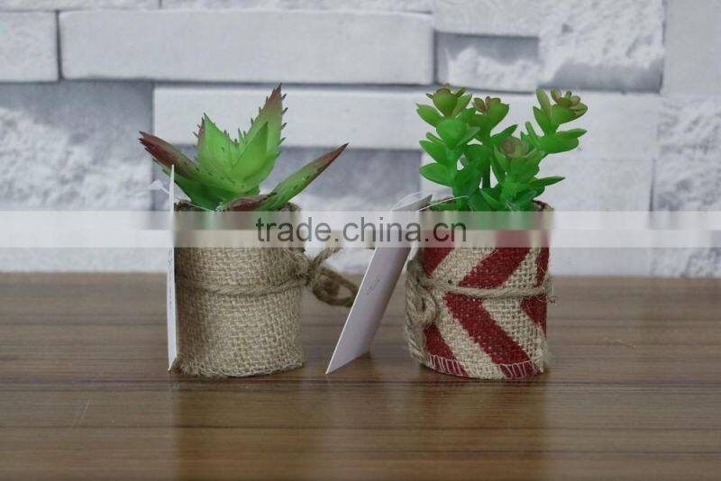 Plastic succulent plants producer and factory