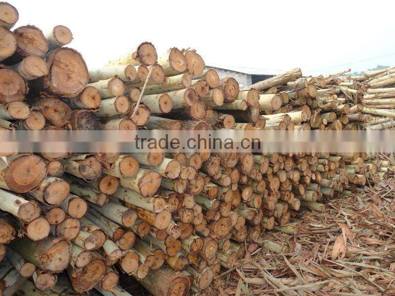 PVC coated wooden broom handle holder