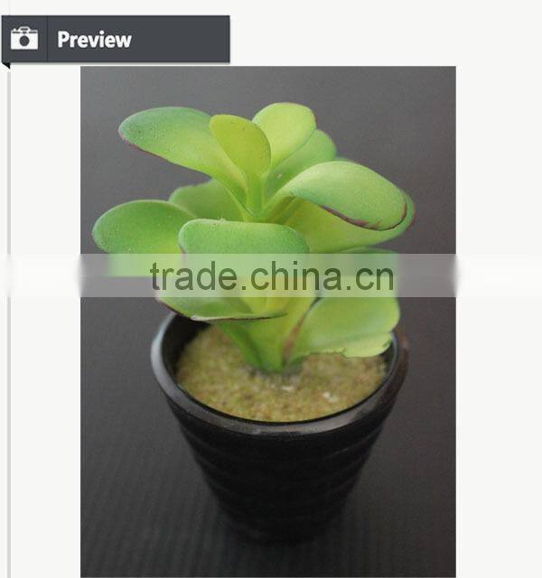 Potted artificial mini succulents