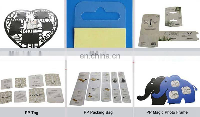 China manufacturer wholesale cheap price clear PP plastic box