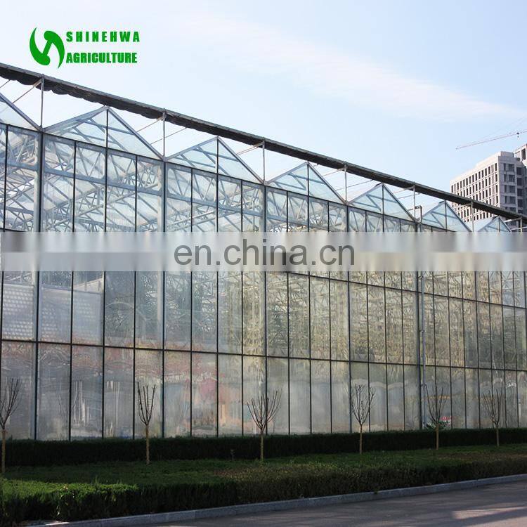 Greenhouse Glasshouse Supplier from China with high quality