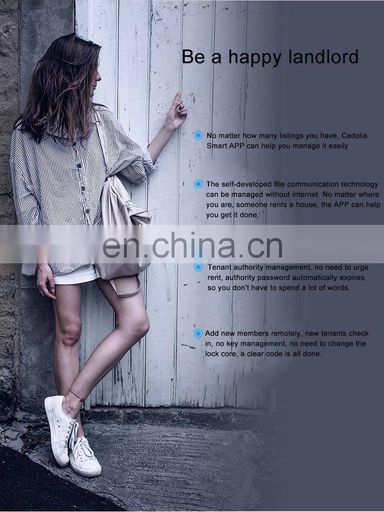 Security Ble Ttlock App Rfid Card Electronic Digital Hotel Lock For Hotel Apartment Airbnb