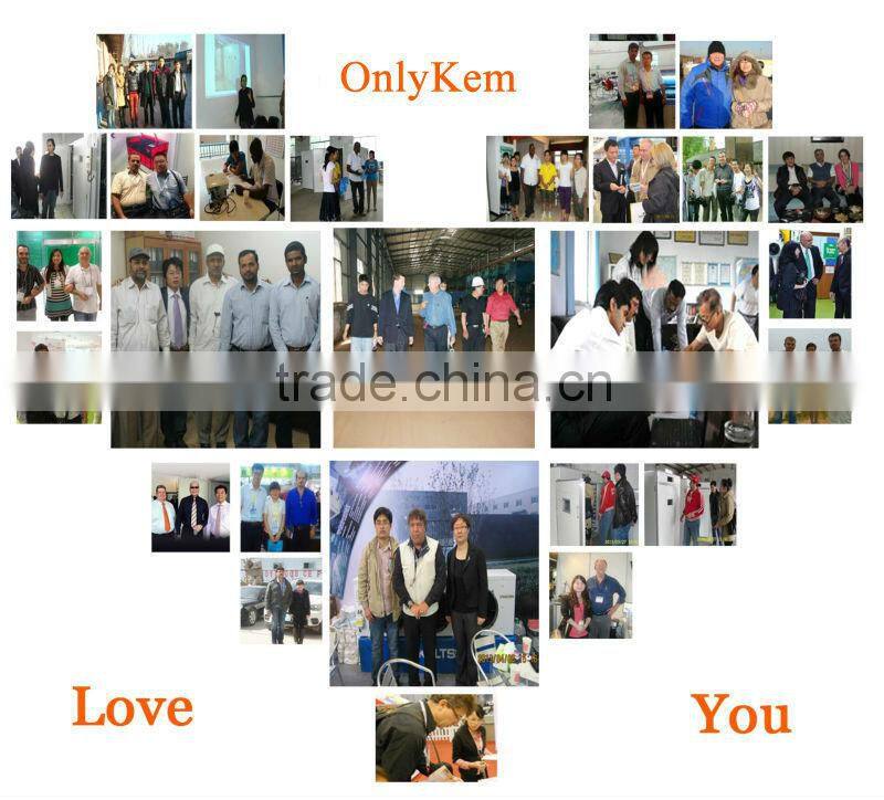 China hinged door for cold room,hinged door manufacture