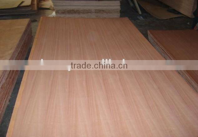 high quality plywood the manufacturer in Shandong Province