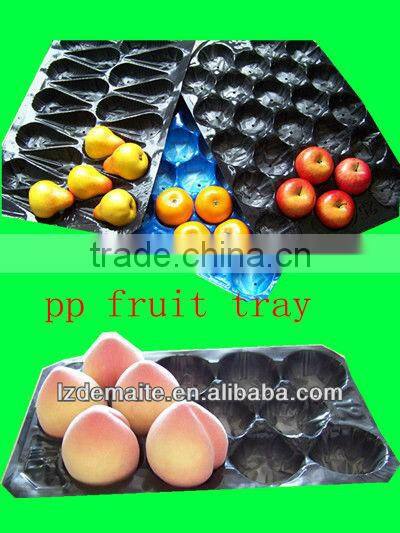 Green Food Packaging Tray Distributor