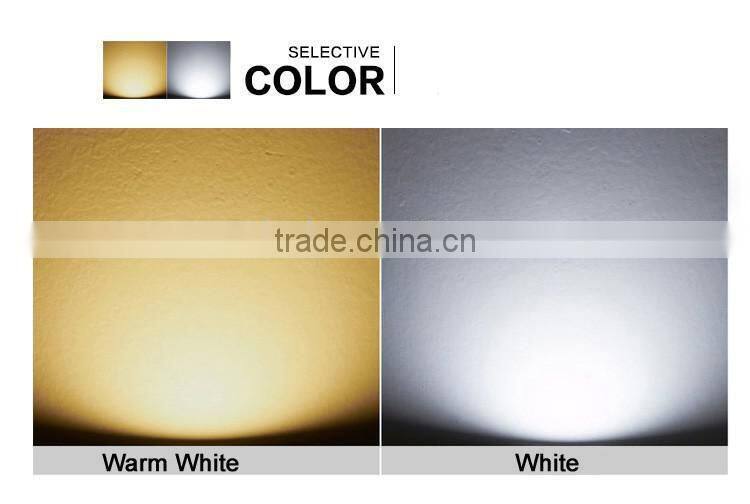 60 Degree beam angle cob led spotlight high power aluminum 10w led par 30