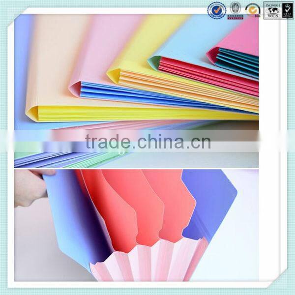 PP stationery file bag/envelop document plastic file folder