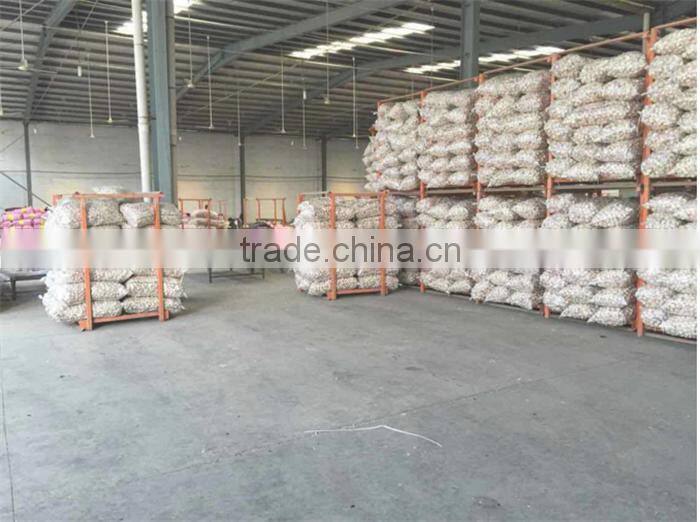 garlic in brine garlic pickles garlic