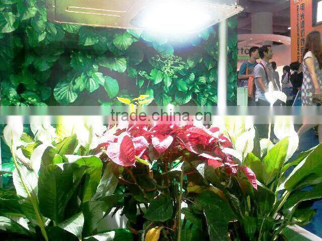 40w-300w induction grow lamp