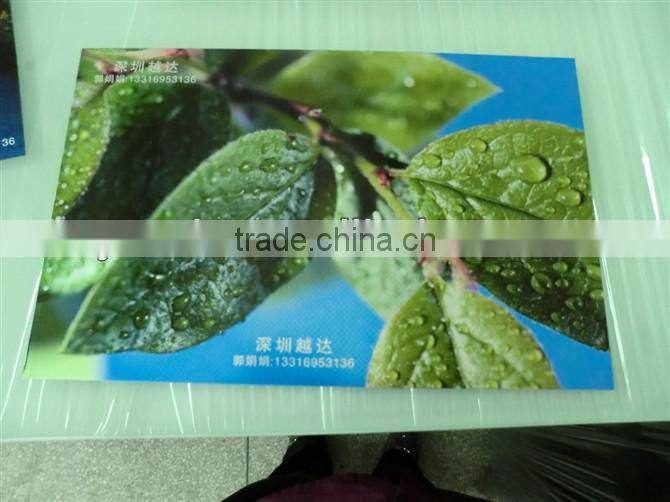 Mini a2 uv flatbed printer can print on wood /metal/PVC /glass