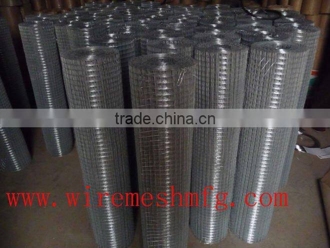 Hot dipped galvanized weled wire mesh