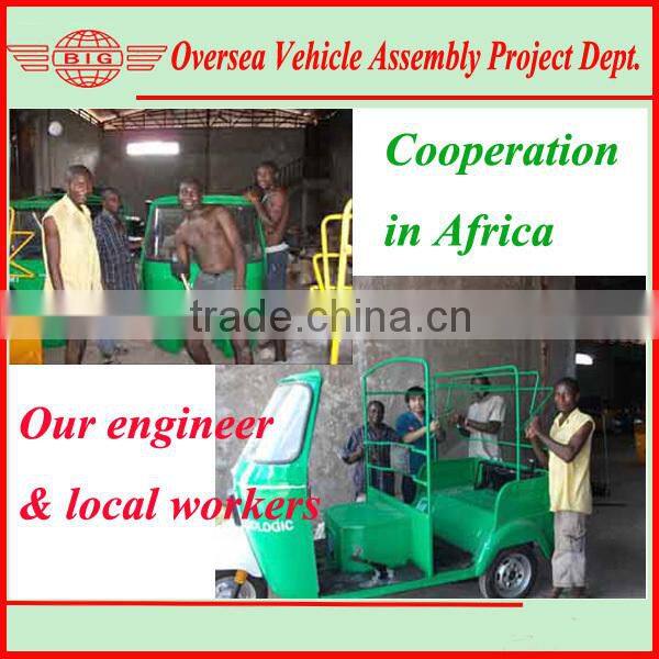 brand-new 60V 1000W-1500W electric trishaw