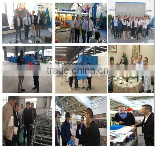 Hot selling Nipple drinking fountains with great price