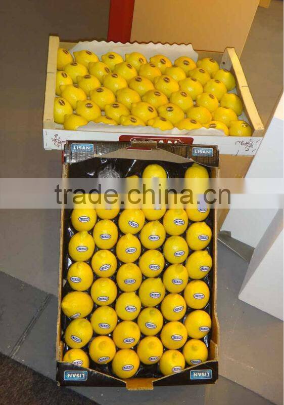 Colorful/Plastic Packaging Blister Food Tray