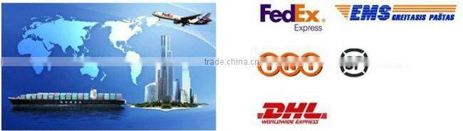 Ladies Fine Scoop neckline Stripe T shirt