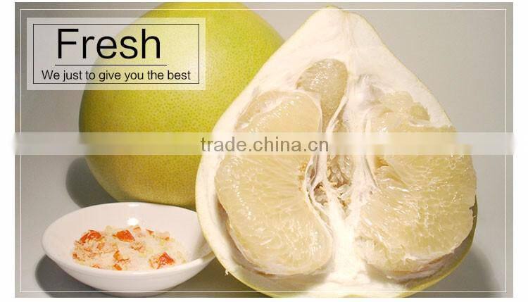 Professional export local honey pomelo from guan-xi pomelo