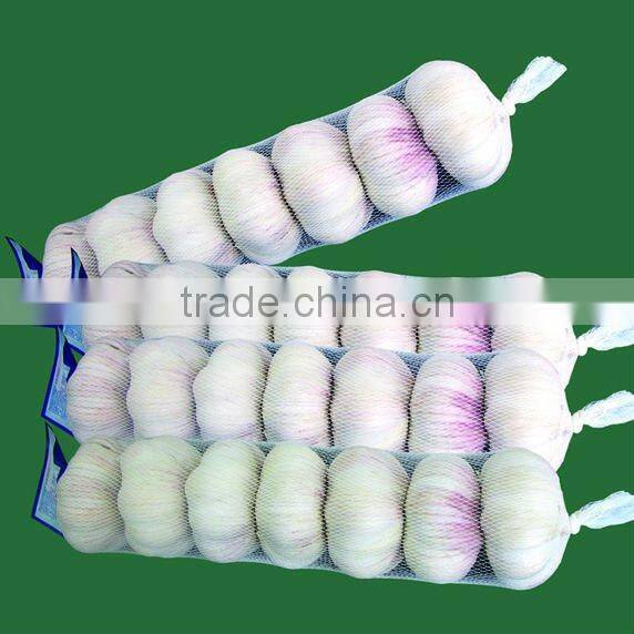 2012 crop fresh garlic in 1kg retail packing
