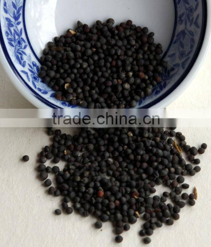 Mustard seeds supplier