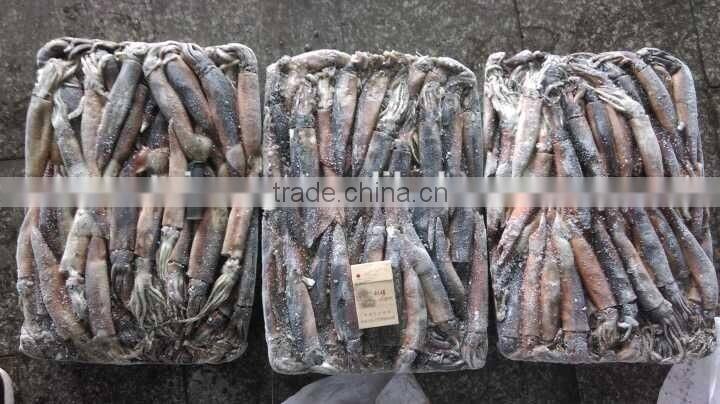 Frozen Illex Argentinus Squid Whole 100g down