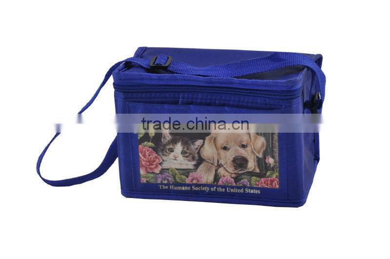 BSCI audit factory cooler bag/high quality cooler bag/win cooler bag