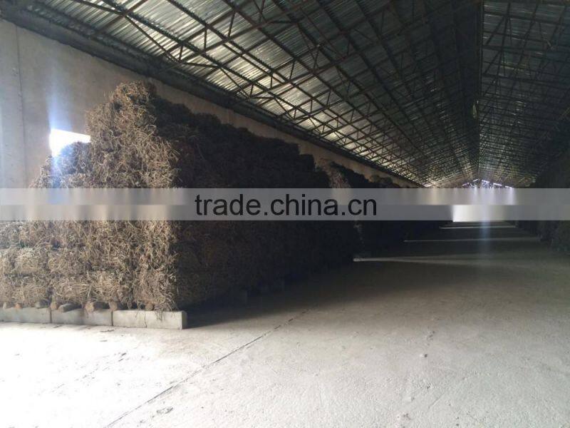 Licorice Root Exporters from India