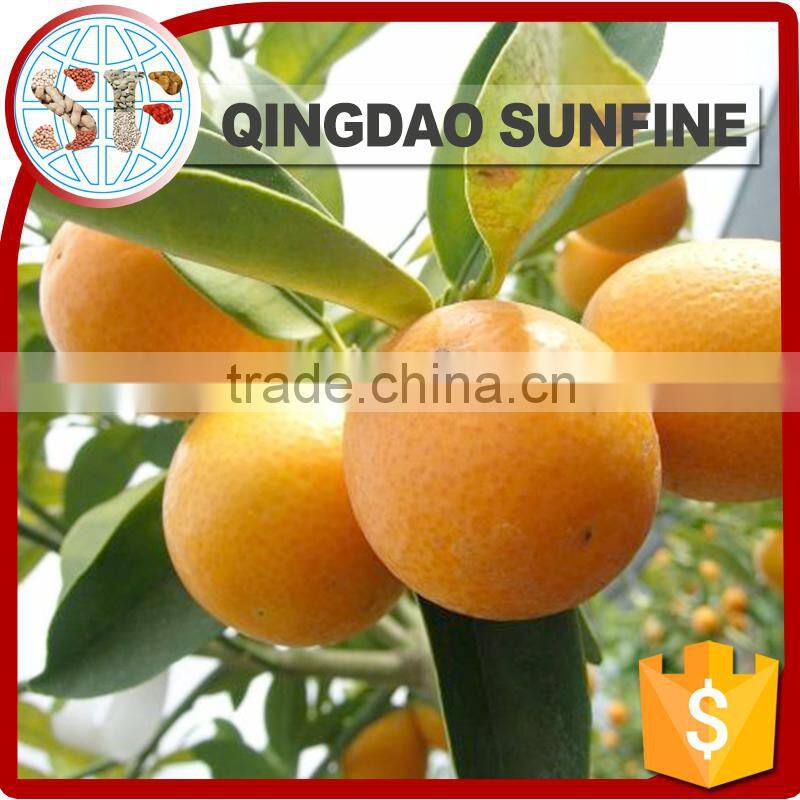 Air dried fresh sweet kumquat