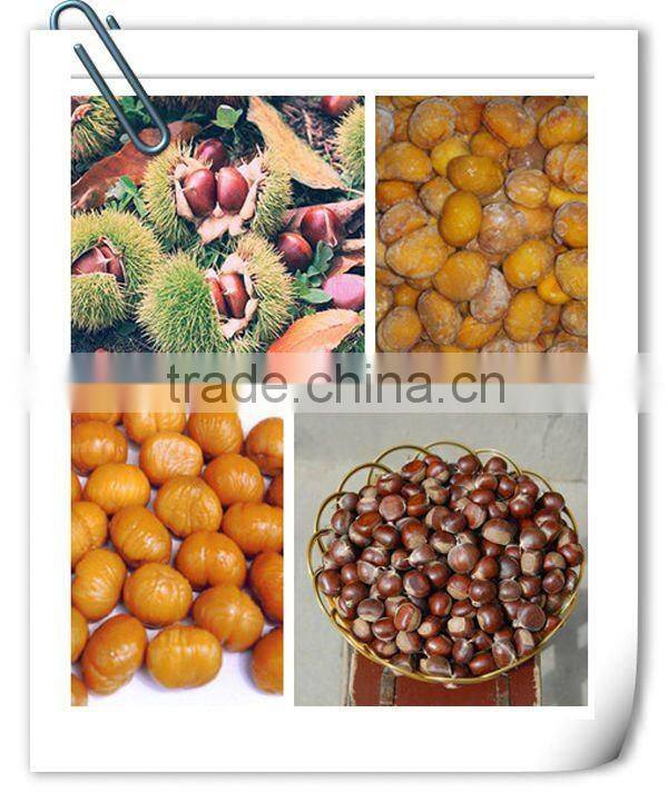 2015 Frozen Halal Health Peeled Roasted Cerified Organic Chestnut