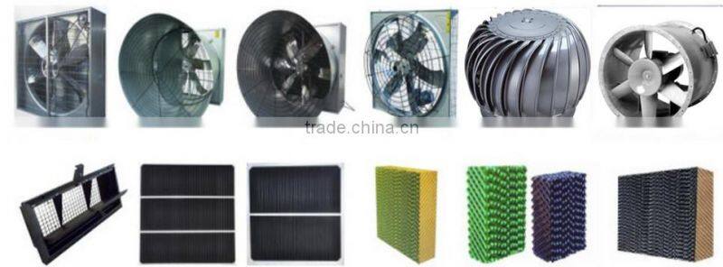 Automatic Chicken Feeding System/Automatic Feeding System For Chicken