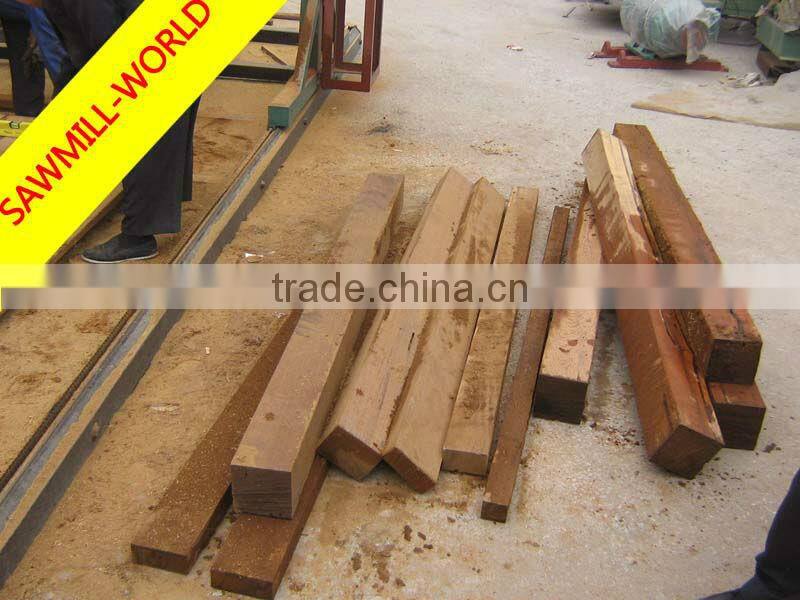 DS700 Portable Wood Double Saw Blade Angle Circular Sawmill For Sale with low price