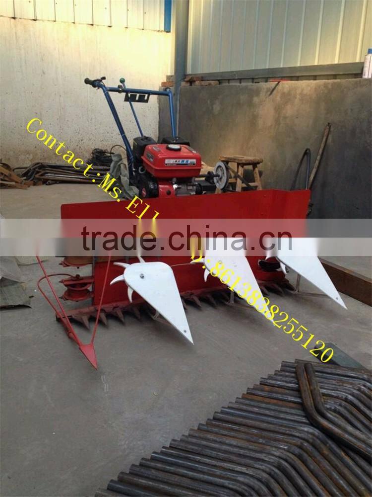 Farm using mini wheat crop cutting machine in Veitnam