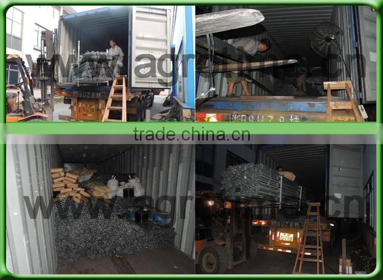 umbrella tree growing greenhouse for sale in China