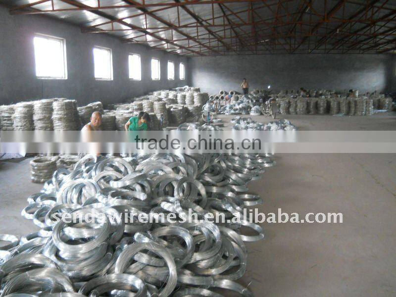 BWG20 galvanized iron Wire