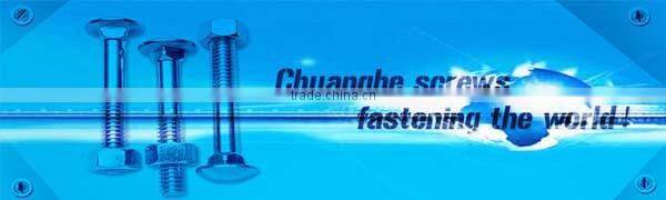 Professional custom good price flat spiral spring made in Chuanghe