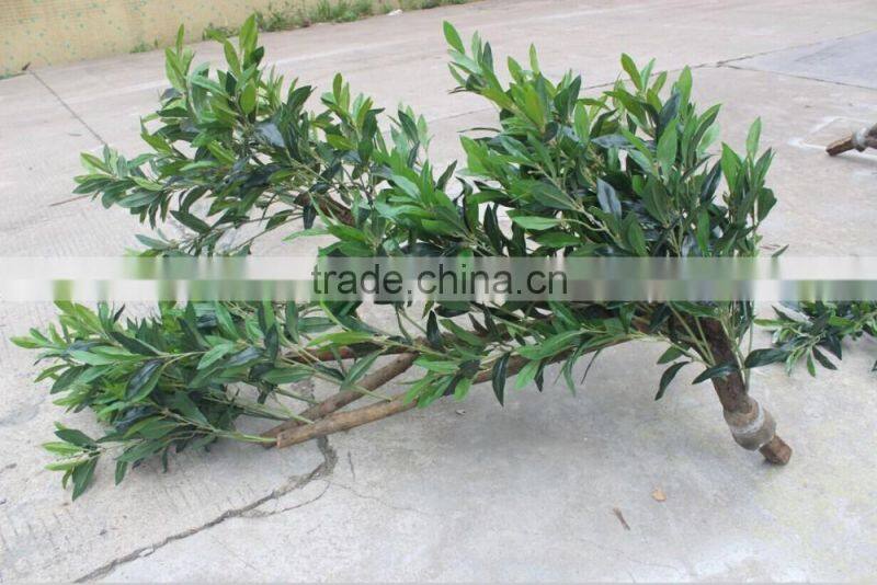 Artificial olive tree , large fake olive tree for sale
