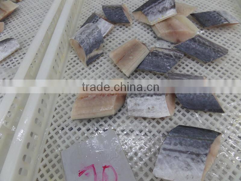 frozen spanish mackerel steaks