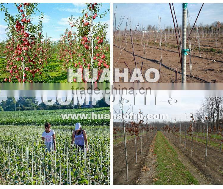 Fiberglass Garden Plant Support,High Strength Flexible Super UV Durable fiberglass plant support rod fast delivery