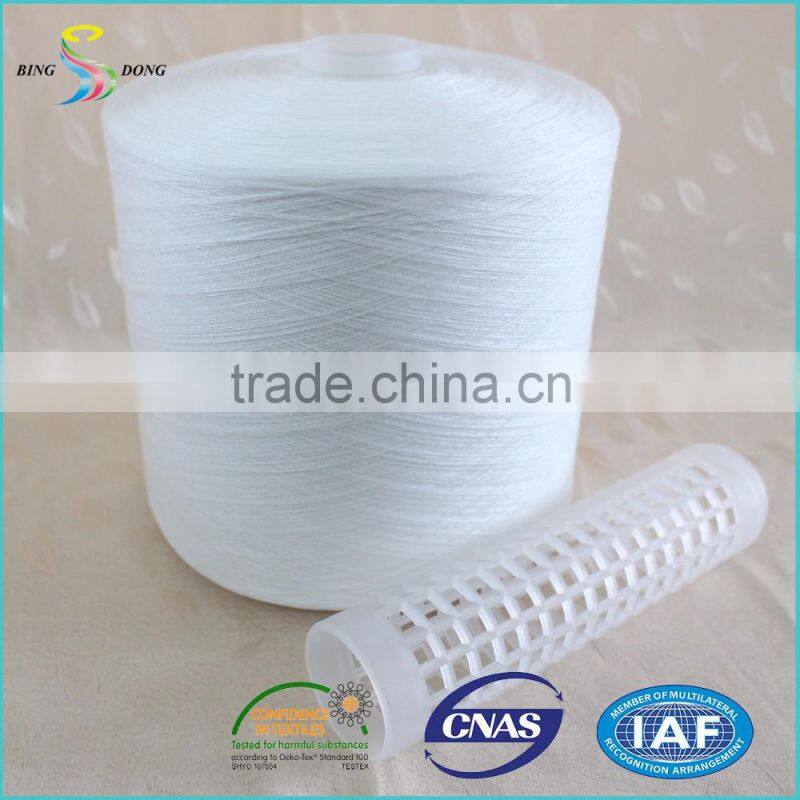 Ne 20/2 20/3 count raw white spun polyester yarn