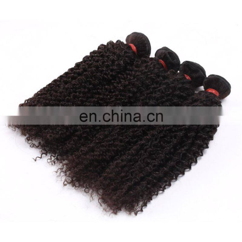 Best Selling Virgin Mongolian Kinky Curly Hair human hair bundles with closure