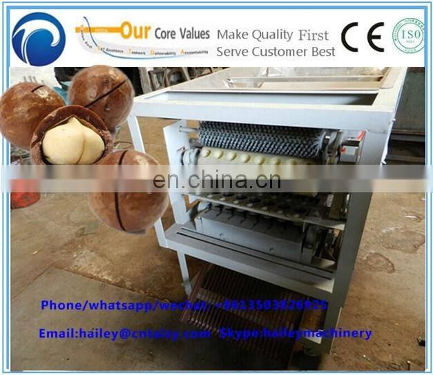 Macadamia Hawaii / queensland nut tapping machine/ new type macadamia nut cracker machine