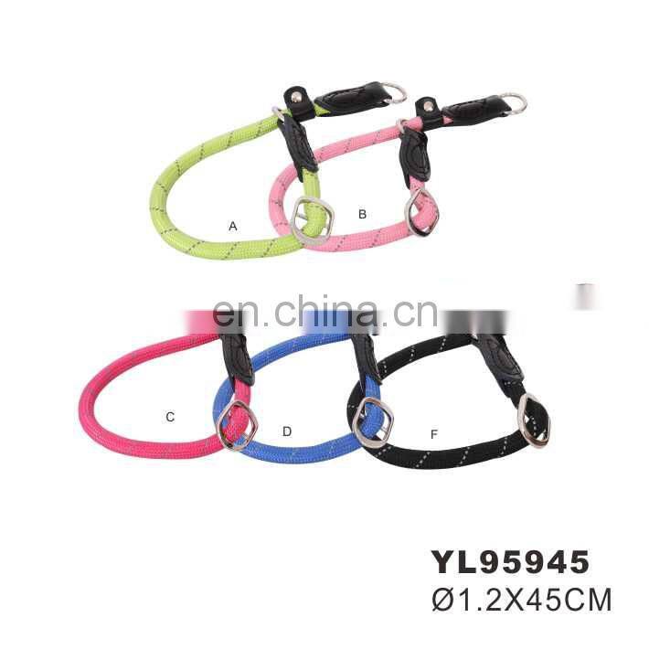 Nylon Leash & Slip Collar