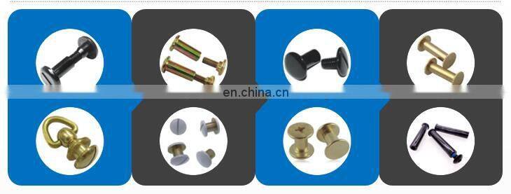 Phillips pan head tapping screw with glue patch