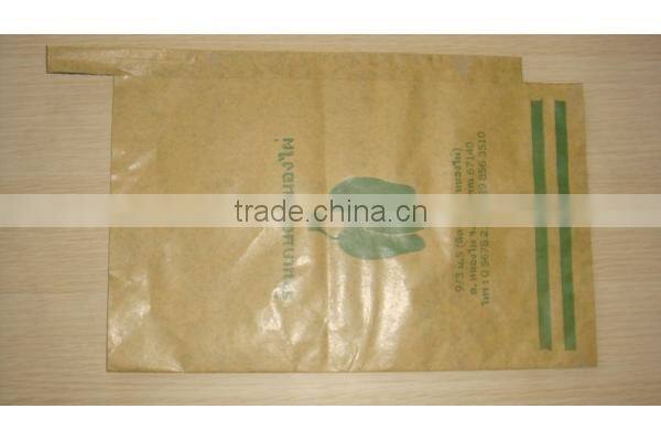 Malaysia Vietnam Sri Lanka kraft paper mango protection bag