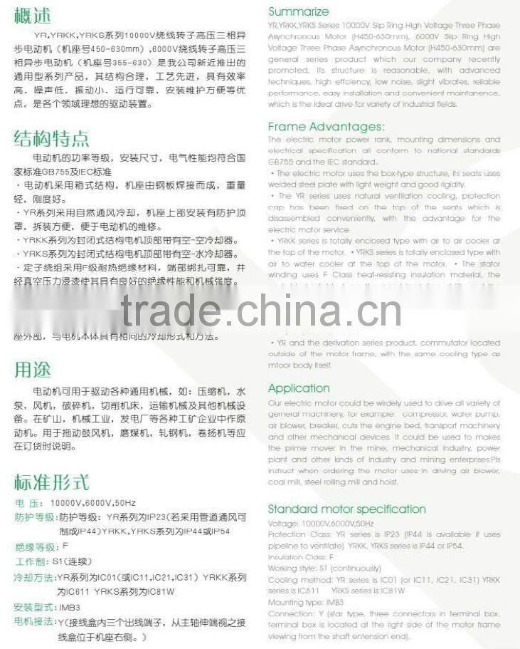 AC Motor bicycle motor motor DC Motor Y Series 6-10KV Squirrel Cage High Voltage three phase asynchronous motor (710-1000)mm)